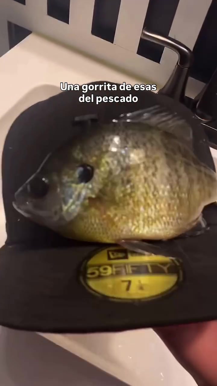 @꧁🥷🏻🦆CARLOS LÓPEZ🦆🥷🏻꧂