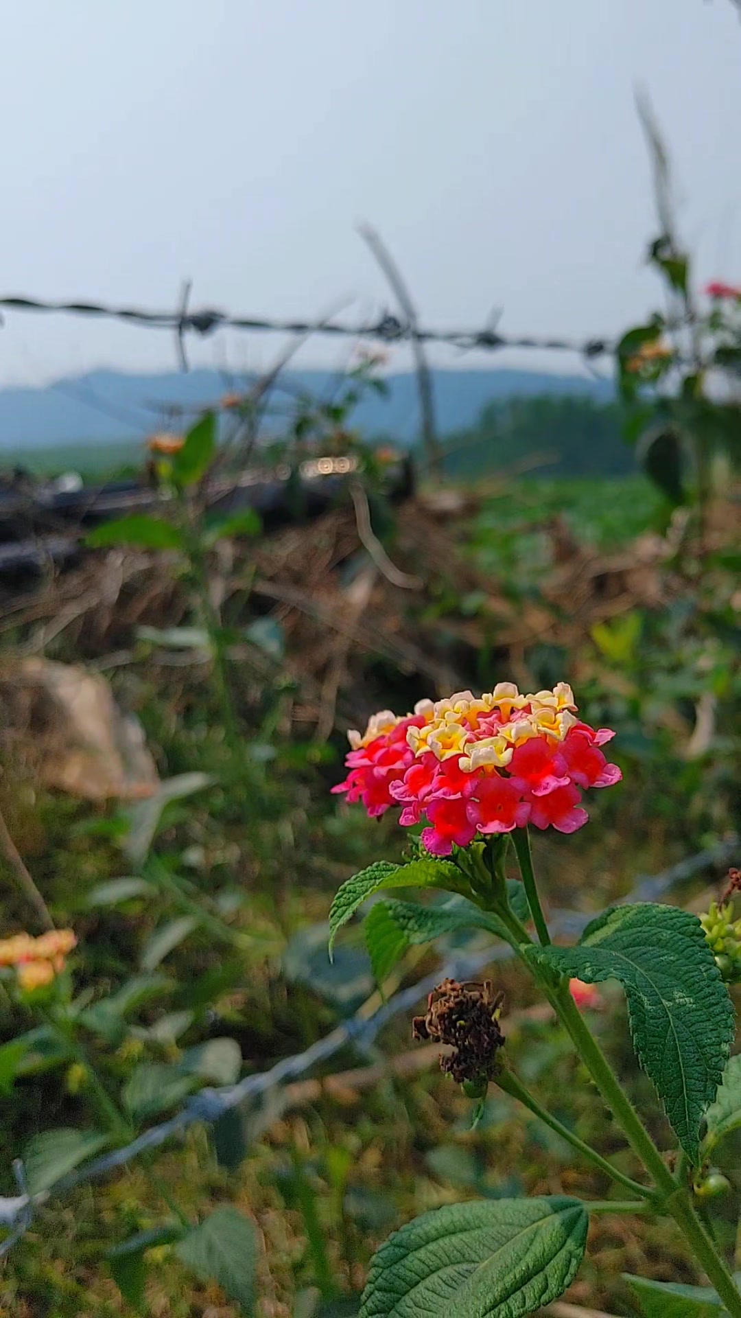 @Thanh Soái 🌱☘️🍀