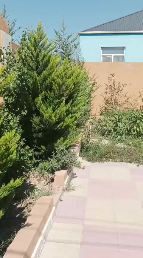 @Hövsan ev alqı-satqısı Mira🦂