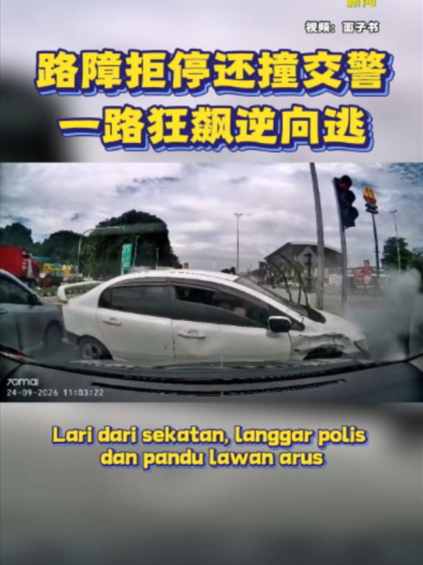 @中国报