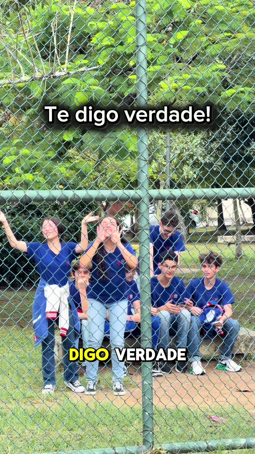@sandrocuriodicasdemat