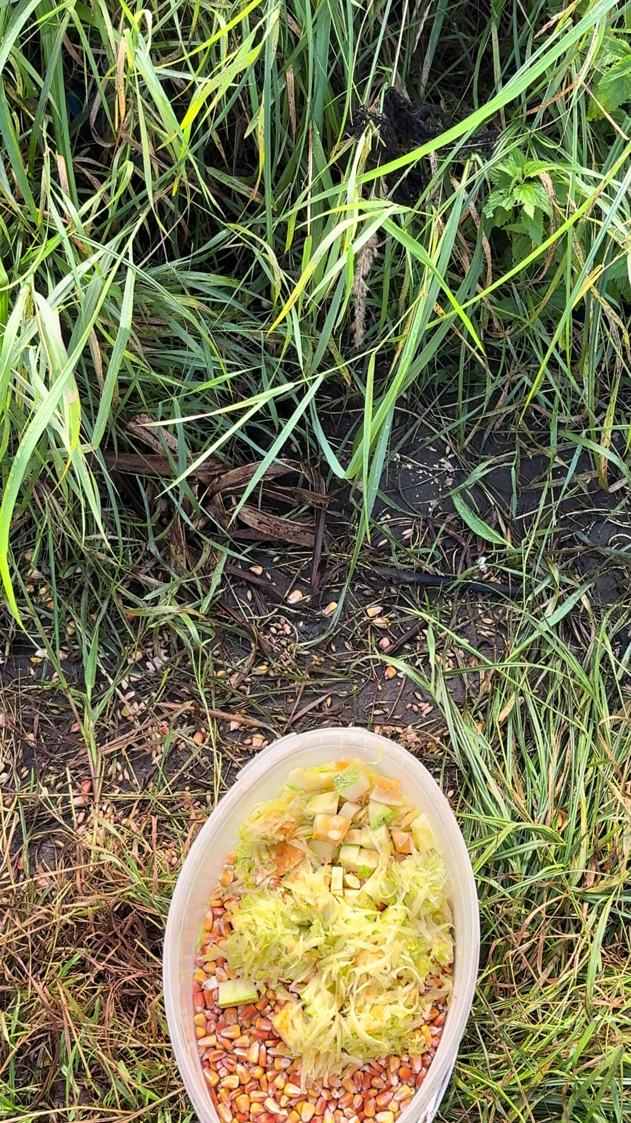 @tanya.help.animal