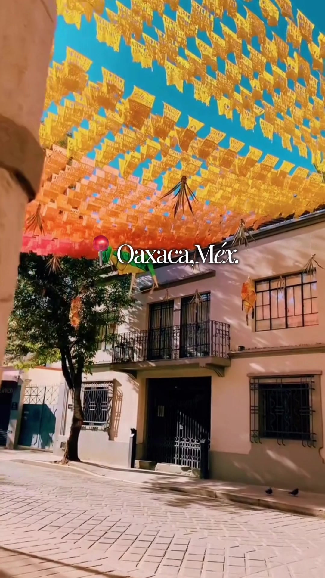@uvacviajes
