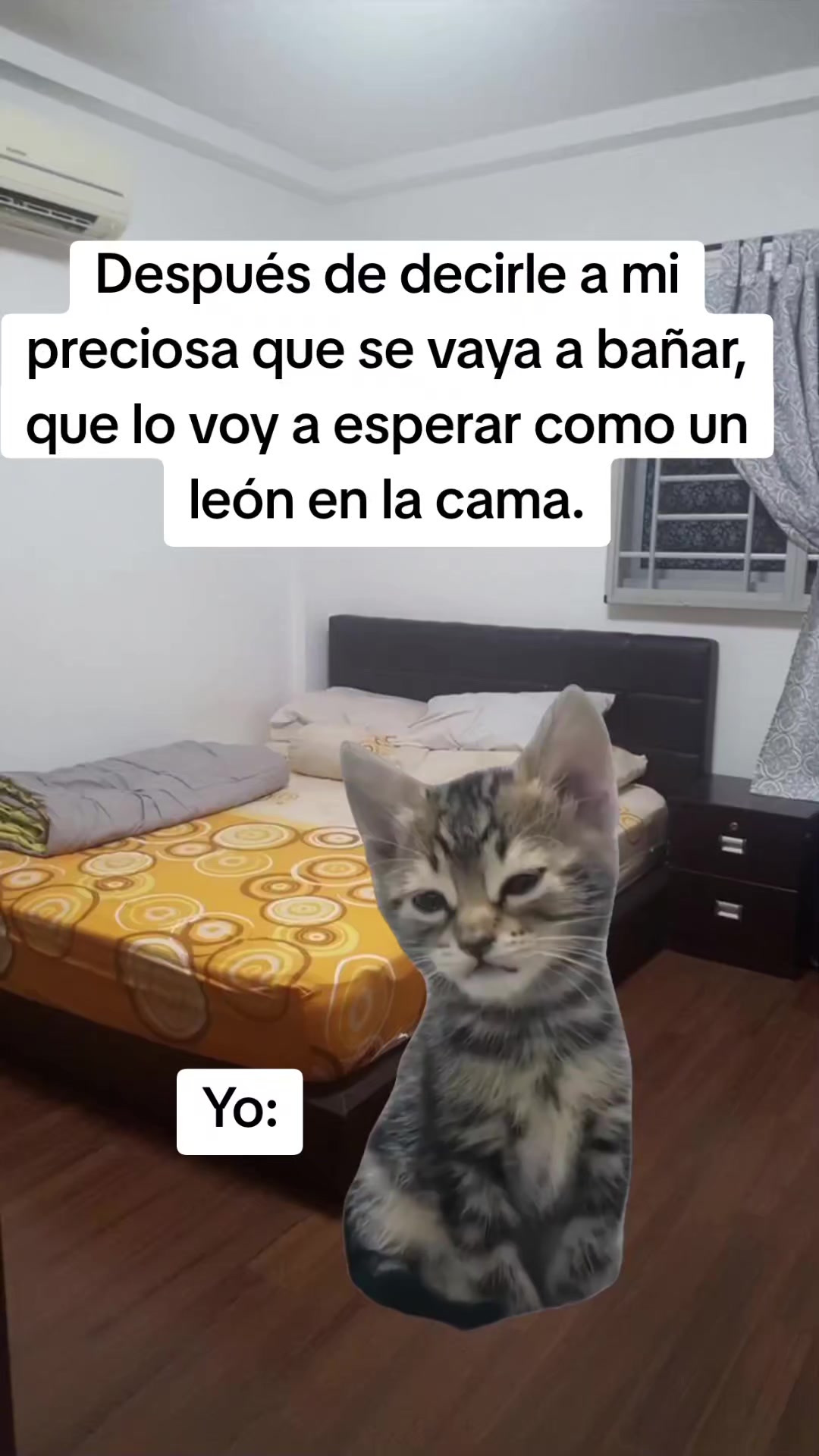 @ersa
