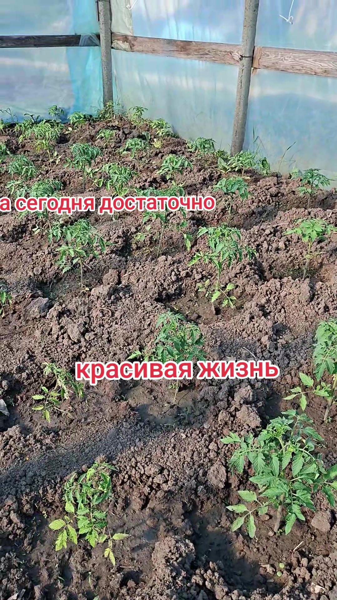 @Натусик