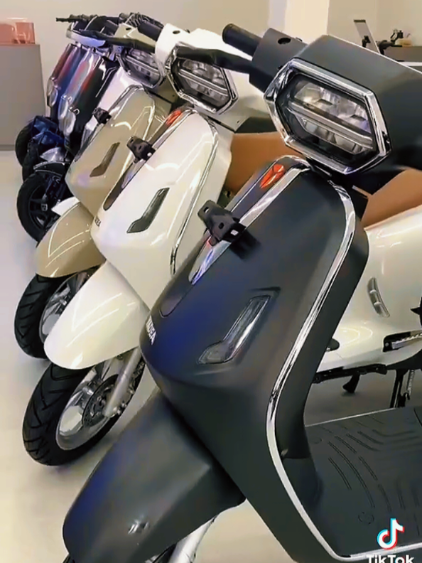 @Great Lion Electric Vehicle