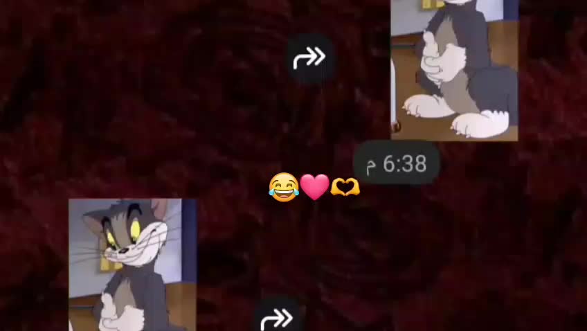 @𓃴🧸aua🧸𓃴