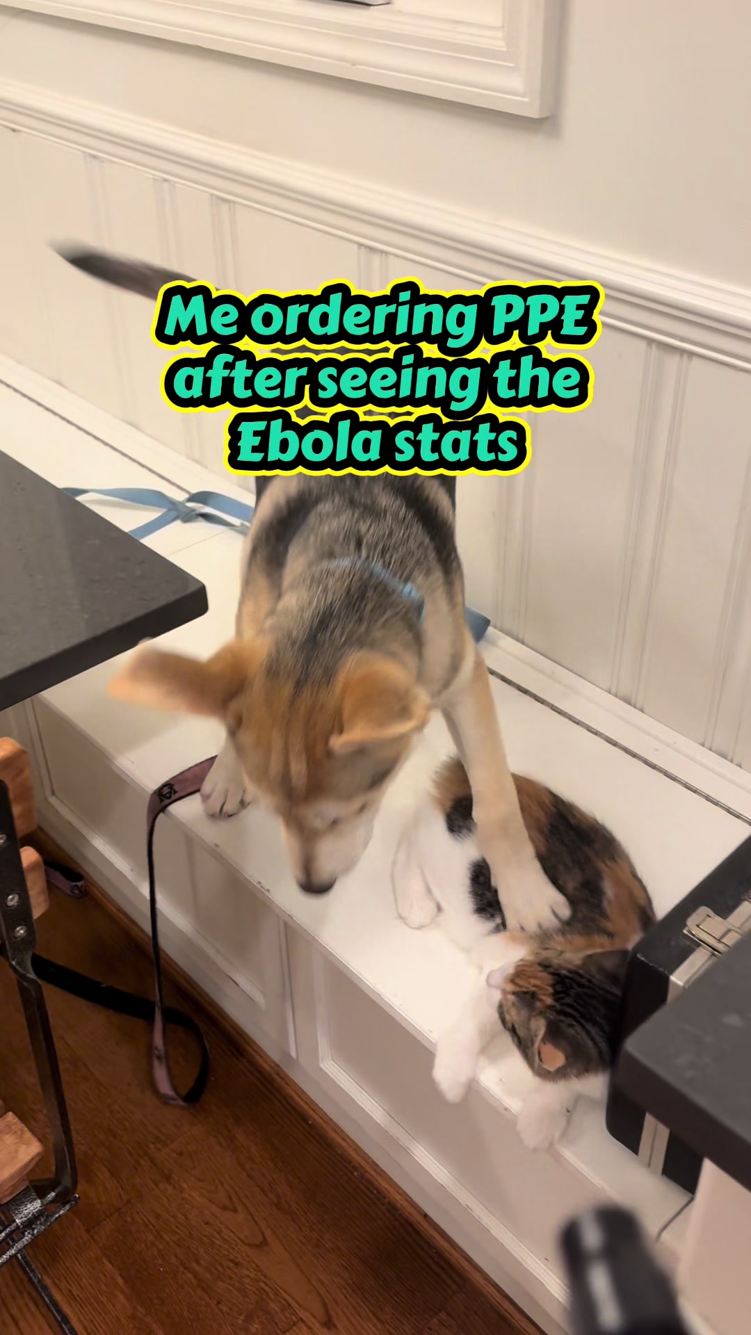 @miscellaneousdrmom