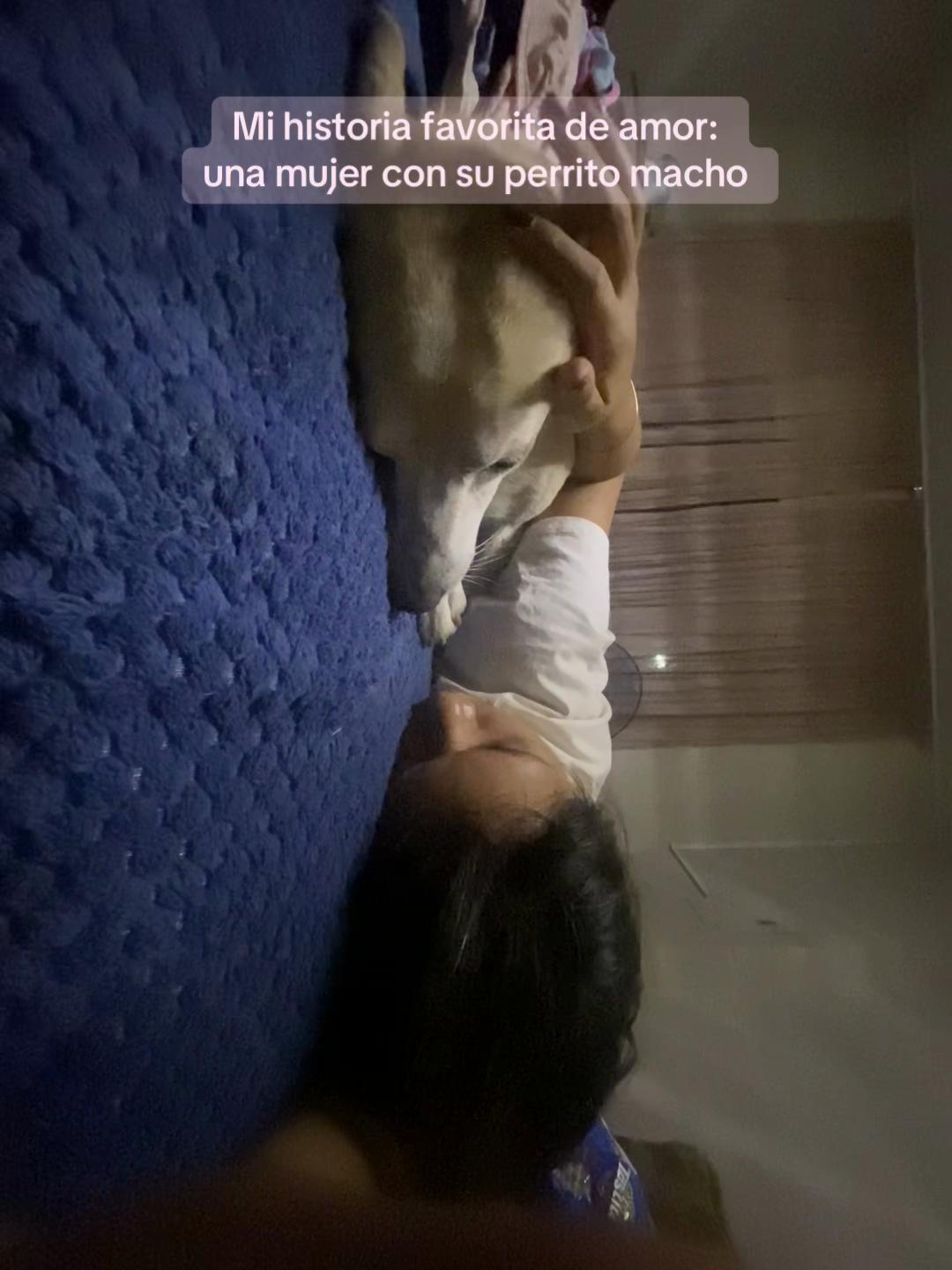 @✨