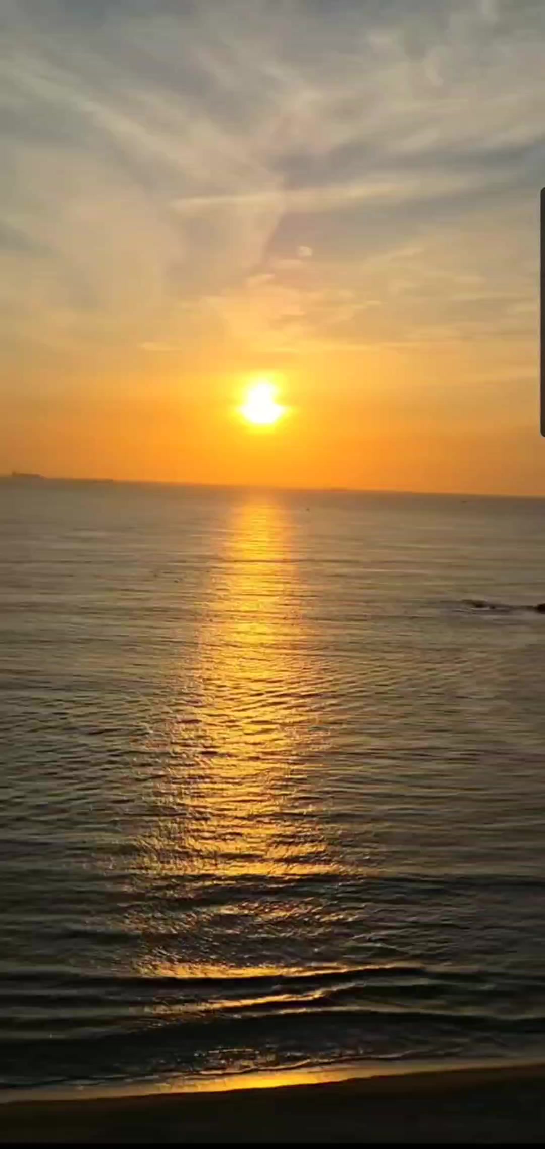 @๐ฉต๋ค์๐ฉต
