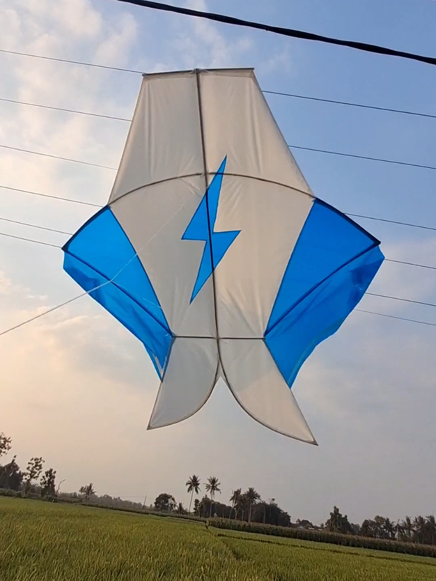 @daffin kite store