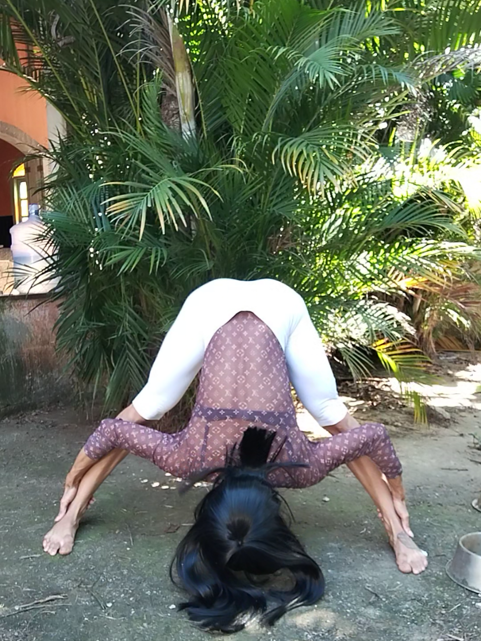 @janalomeu