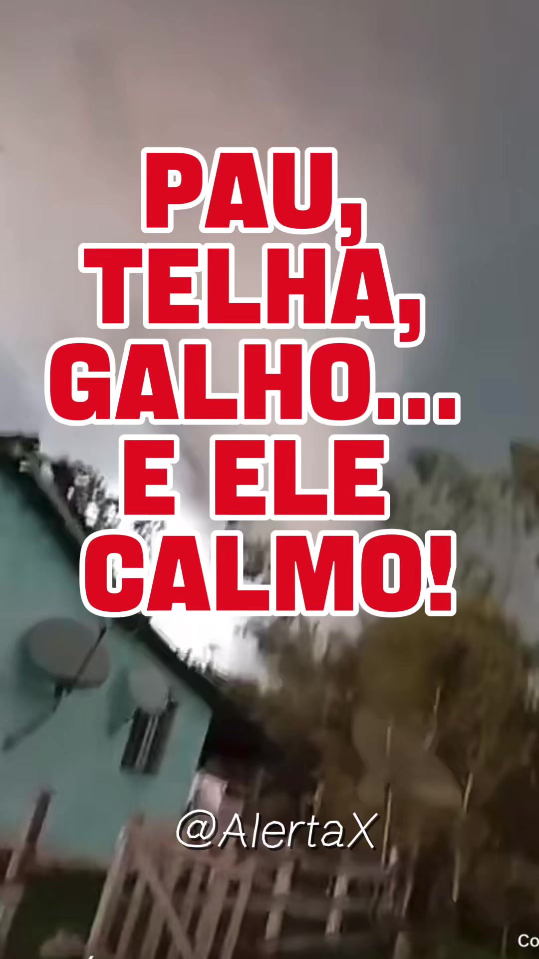 @@AlertaX