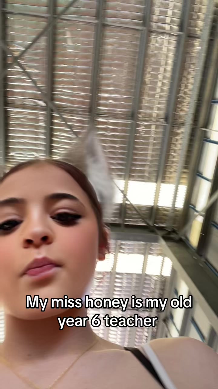 @hisfavbrunetteranga13