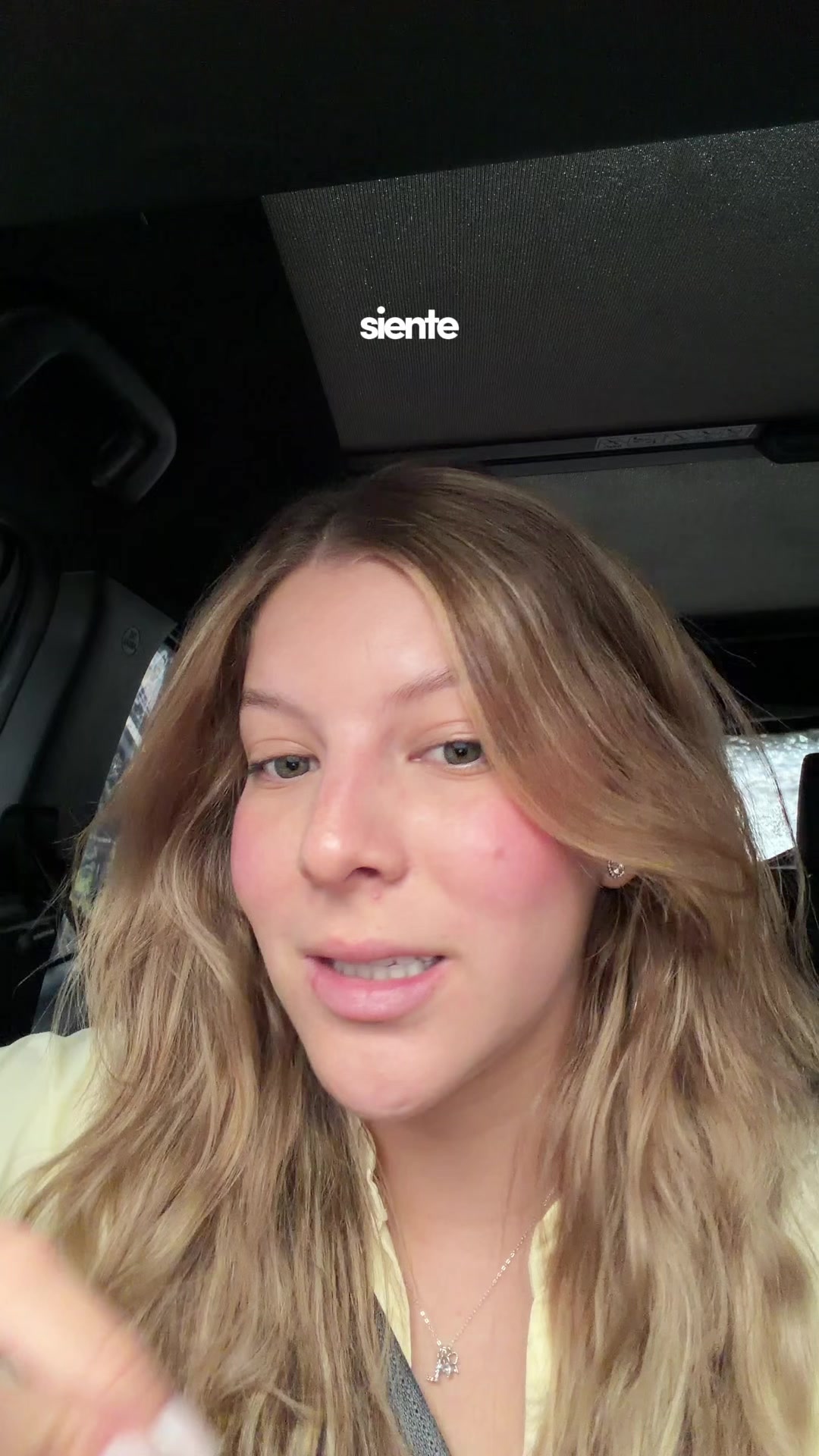 @luciana toro