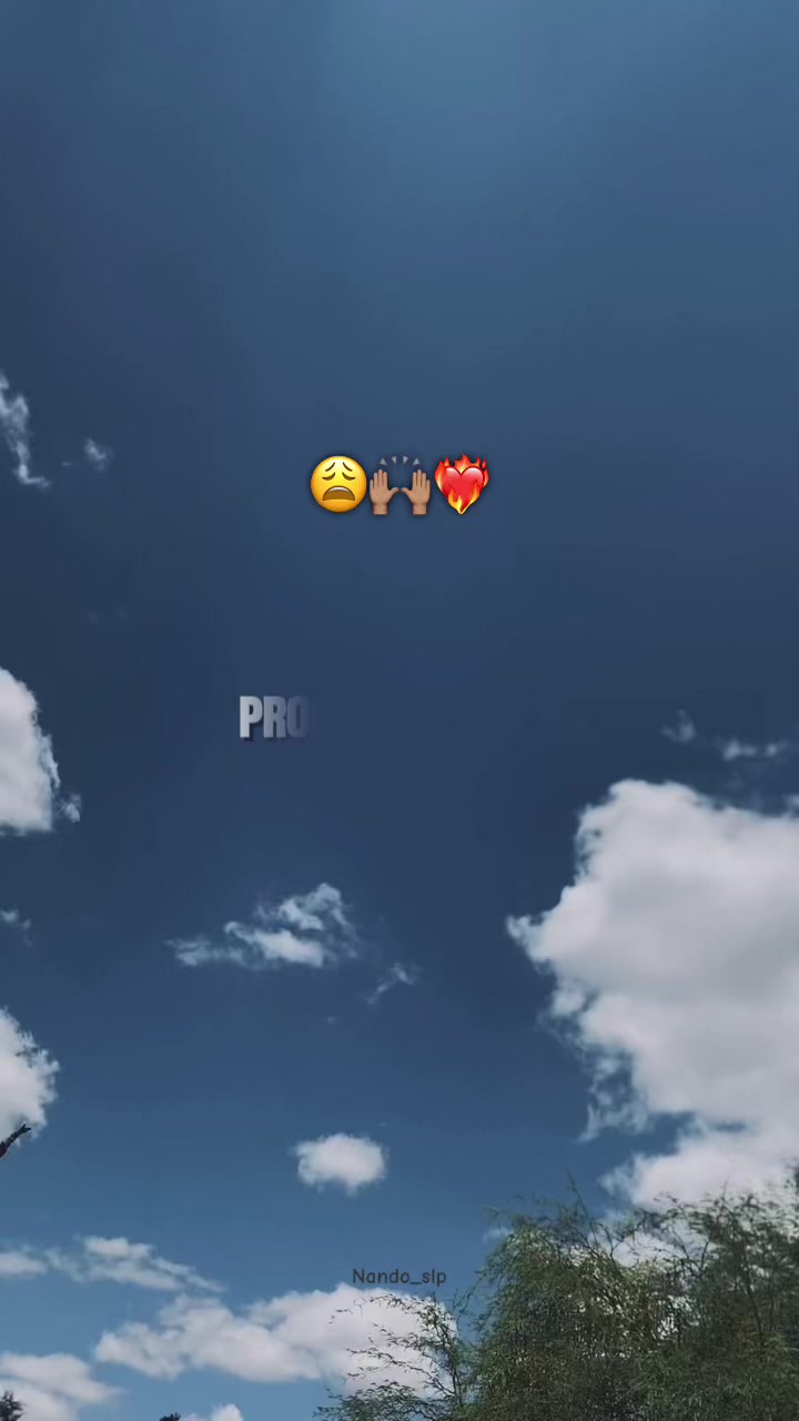 @Fernando Alvarez🫶🏽