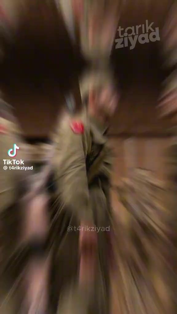 @Hüseyin kaya