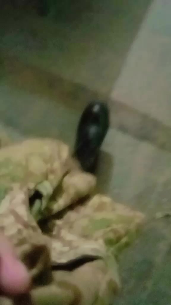 @Army Boy