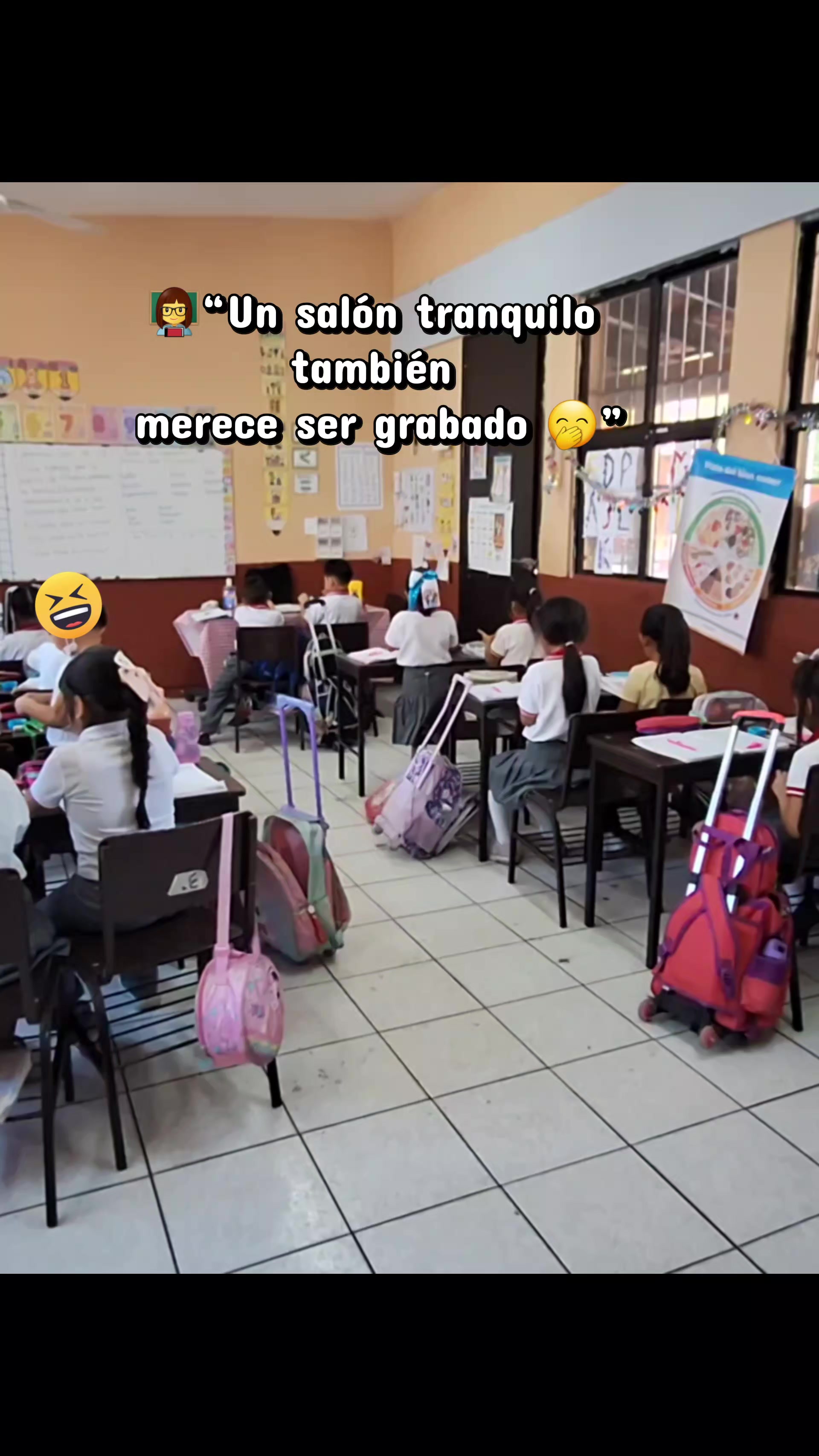 @👩🏫Berenice🍎