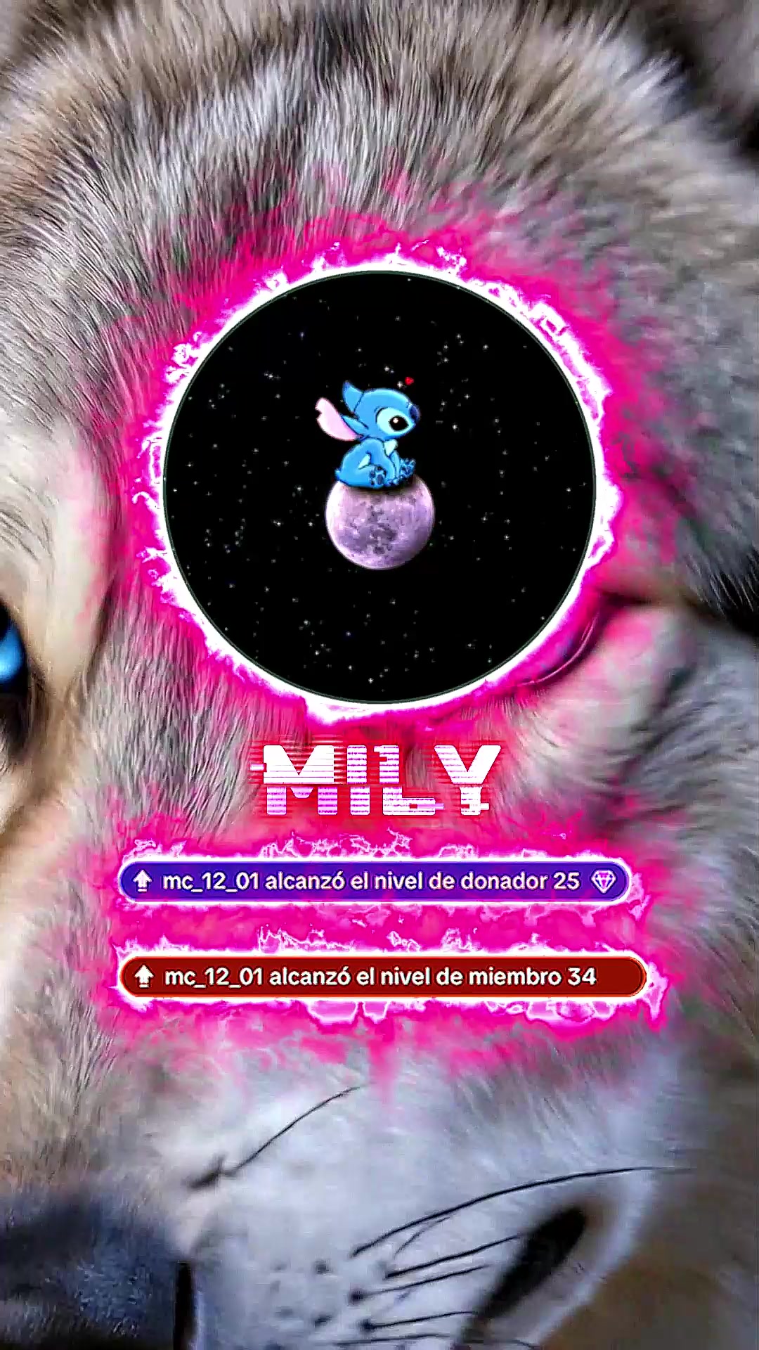 @𝐌𝐫 𝐅𝐚𝐜𝐭𝐬 🐺