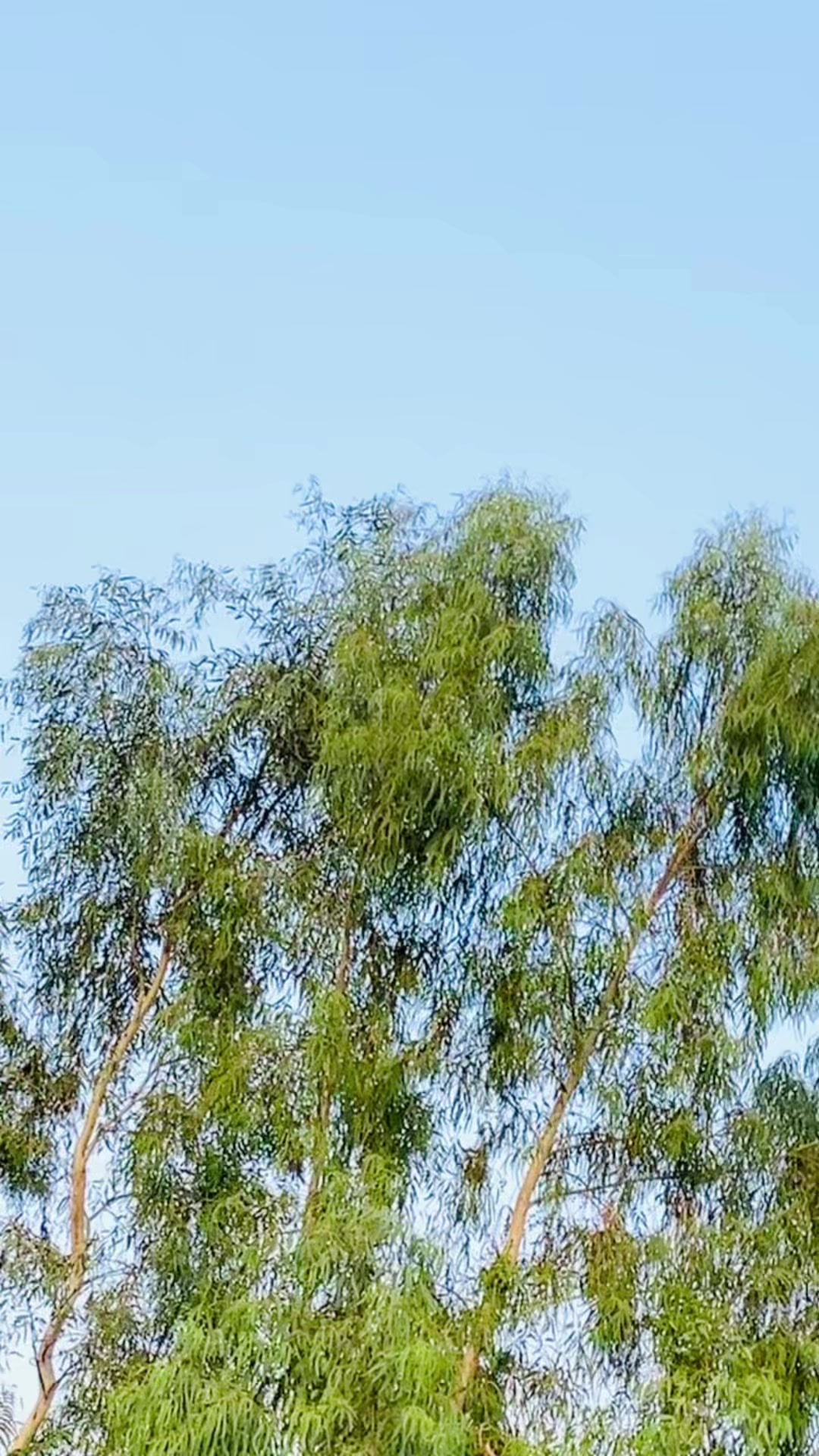 @yaseen___74