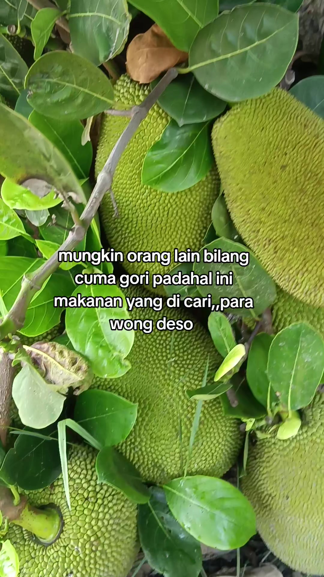 @sayang ku 🤗🤗