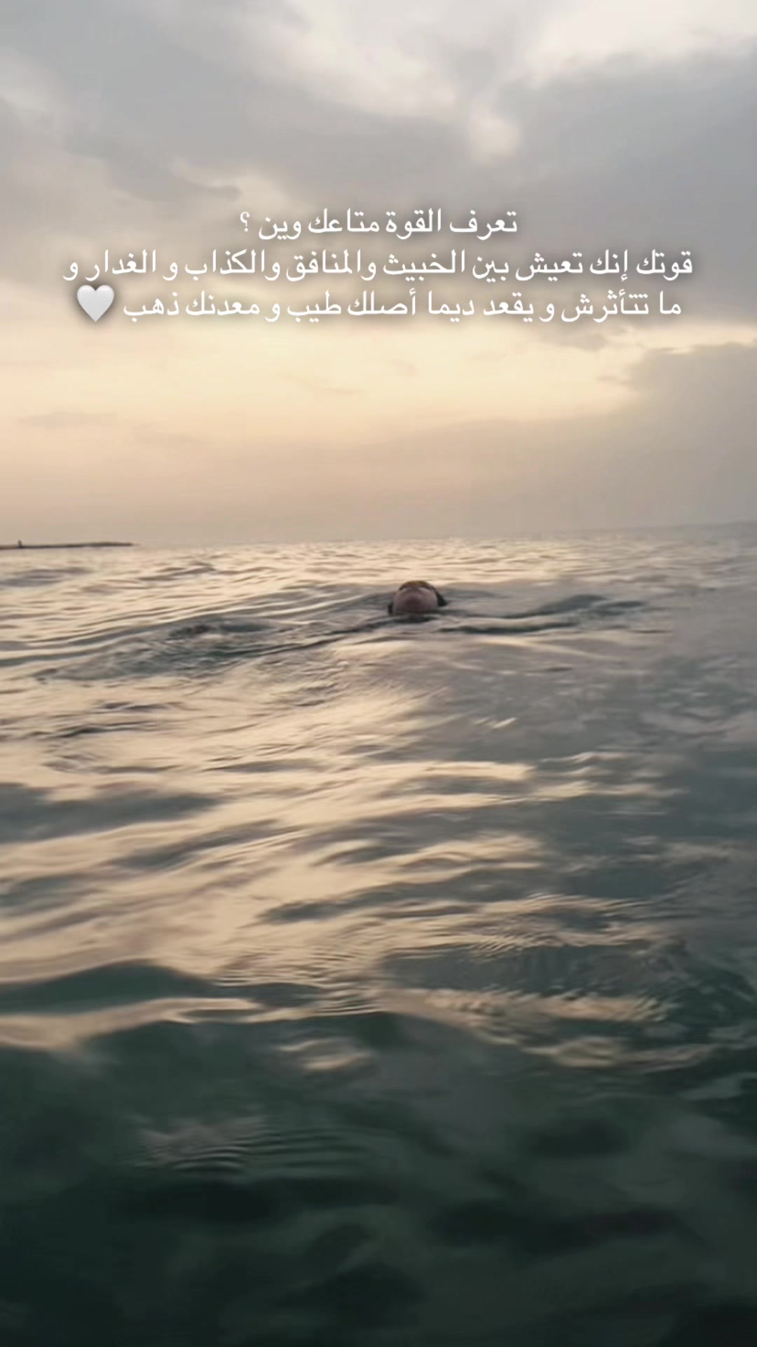 @amal toujani ⚘️