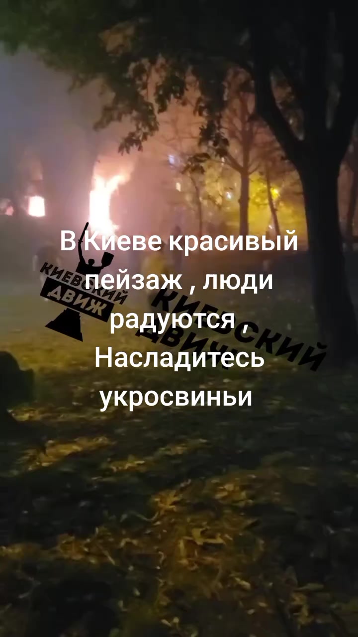@🇷🇺МИШКА КОСОЛАПЫЙ 🇷🇺