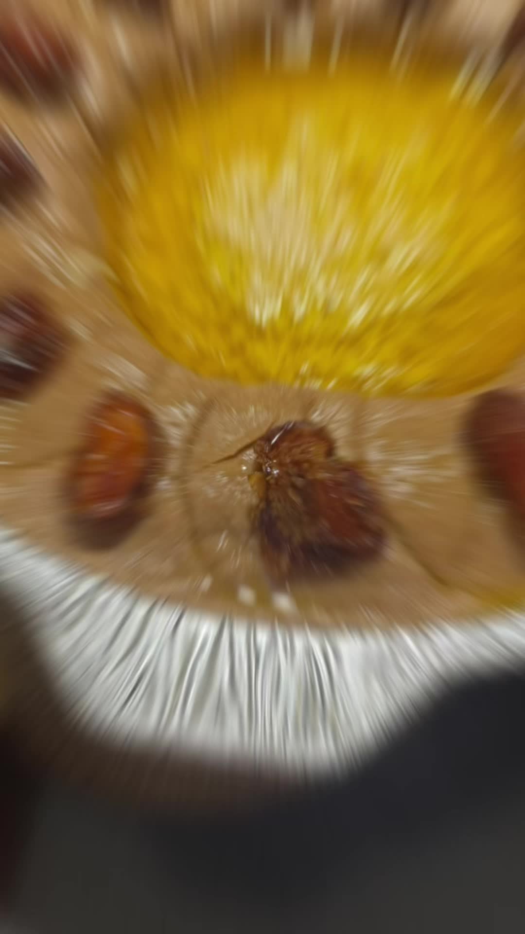 @s1s2