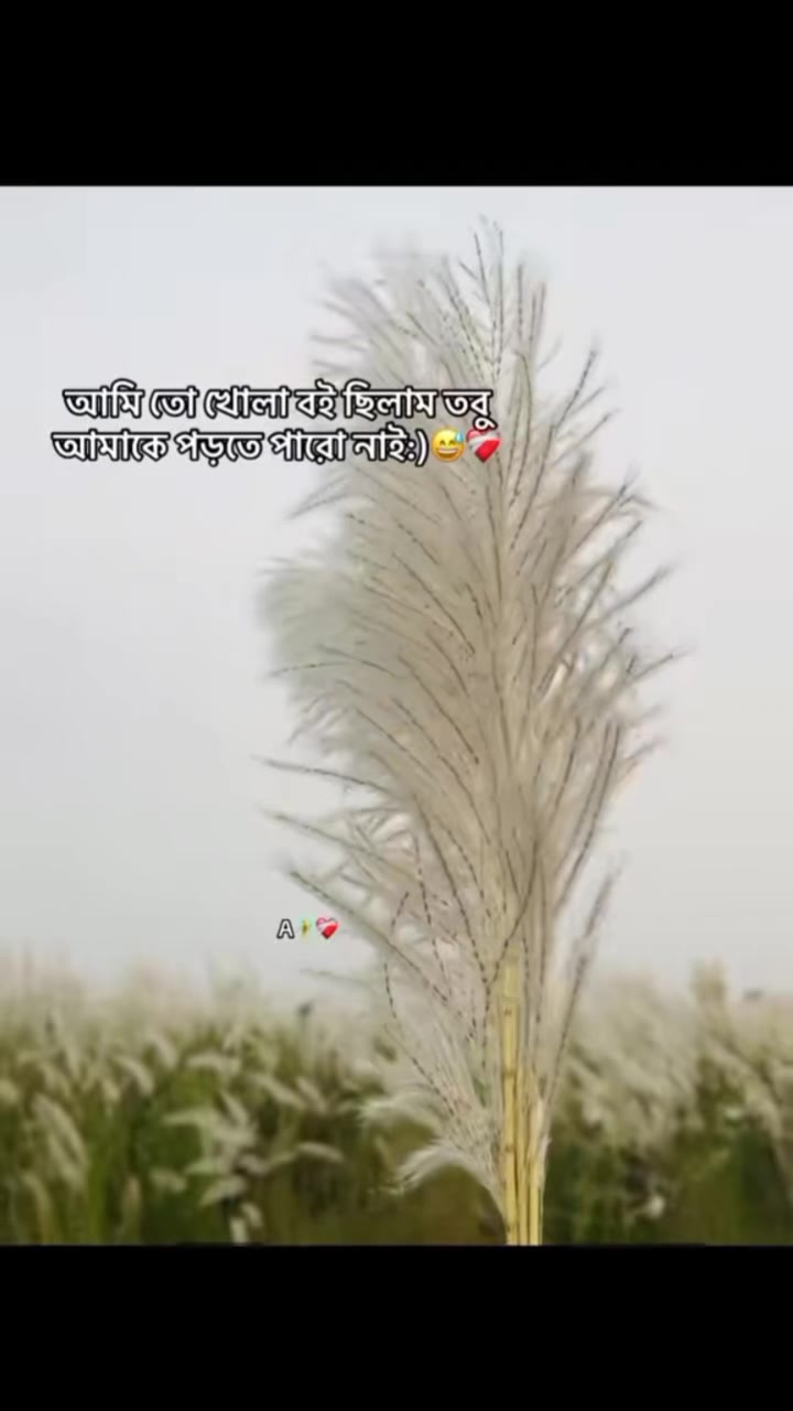 @1️⃣❎ ⊶N⊶O⊶Y⊶O⊶N⊶❎1️⃣