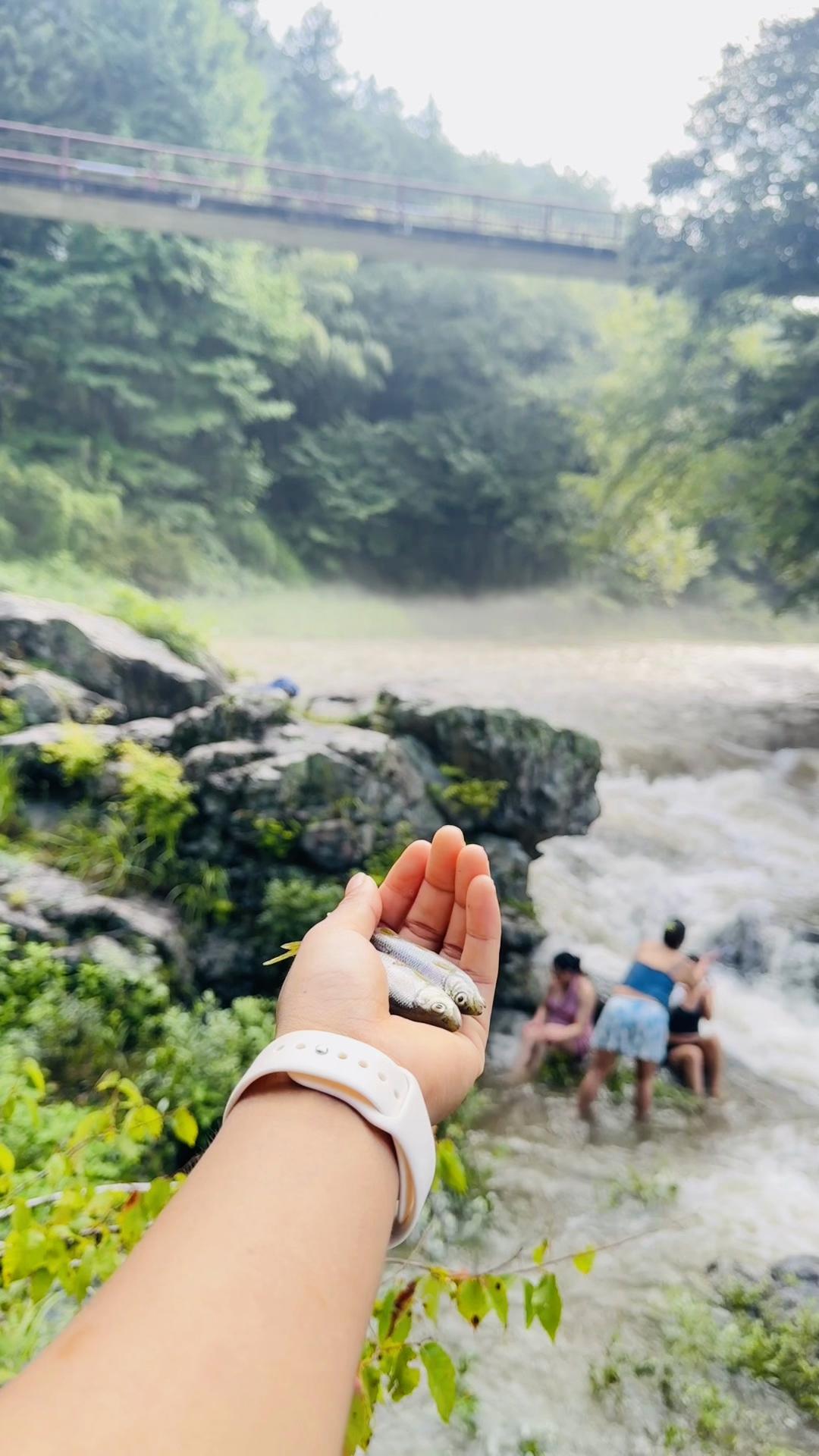 @अबि पुर्जा💫
