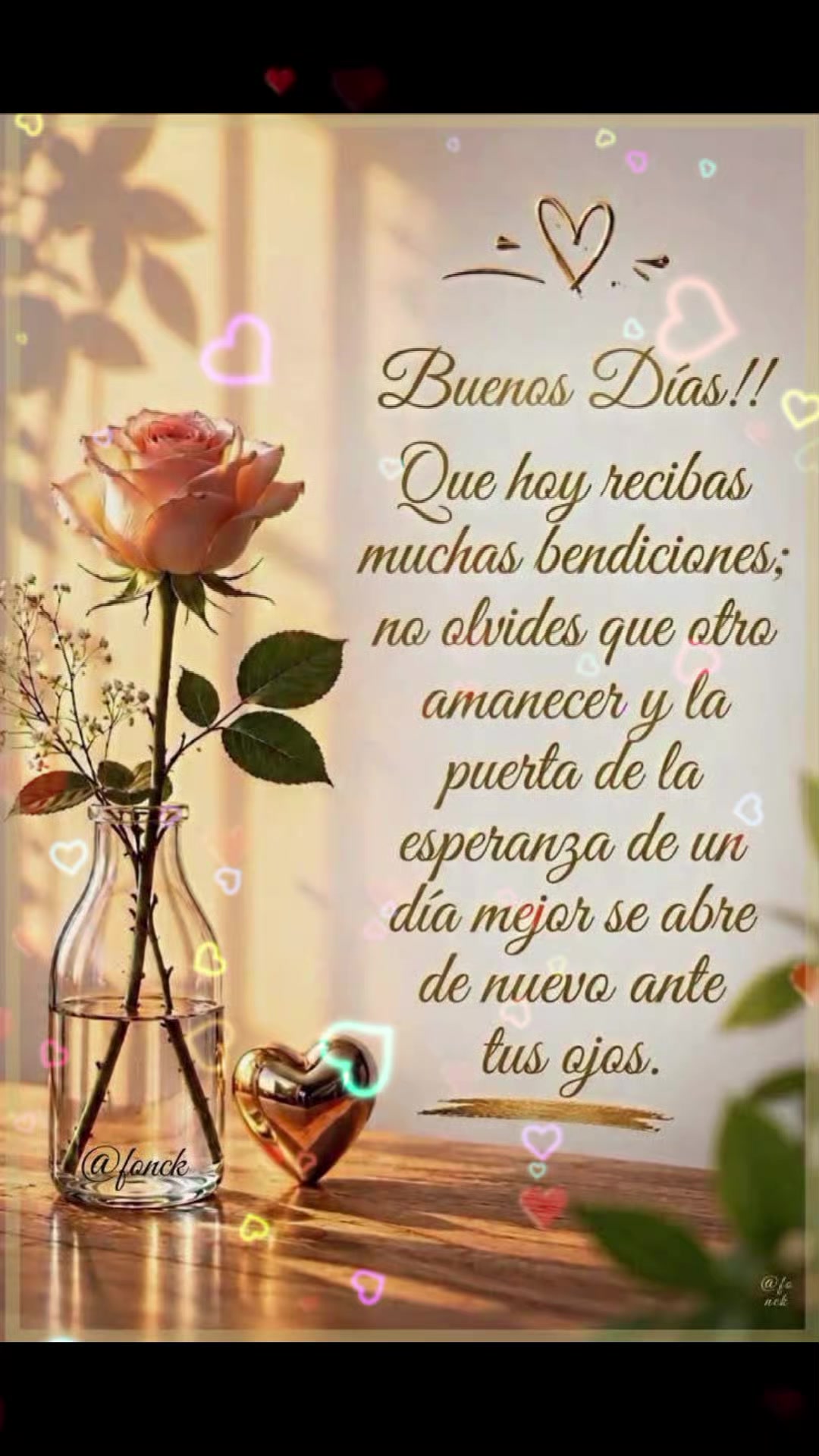 @DUQUESA 61