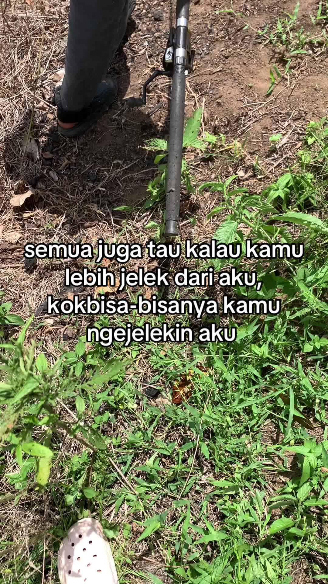 @tomato_enak