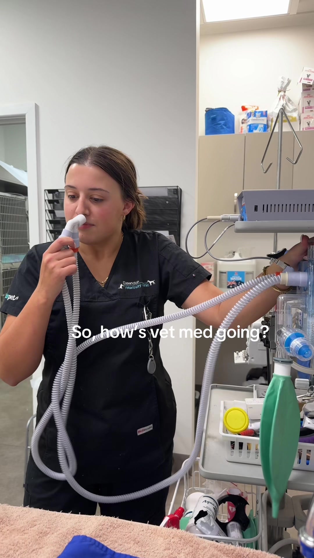 @Essendon Vet Clinic