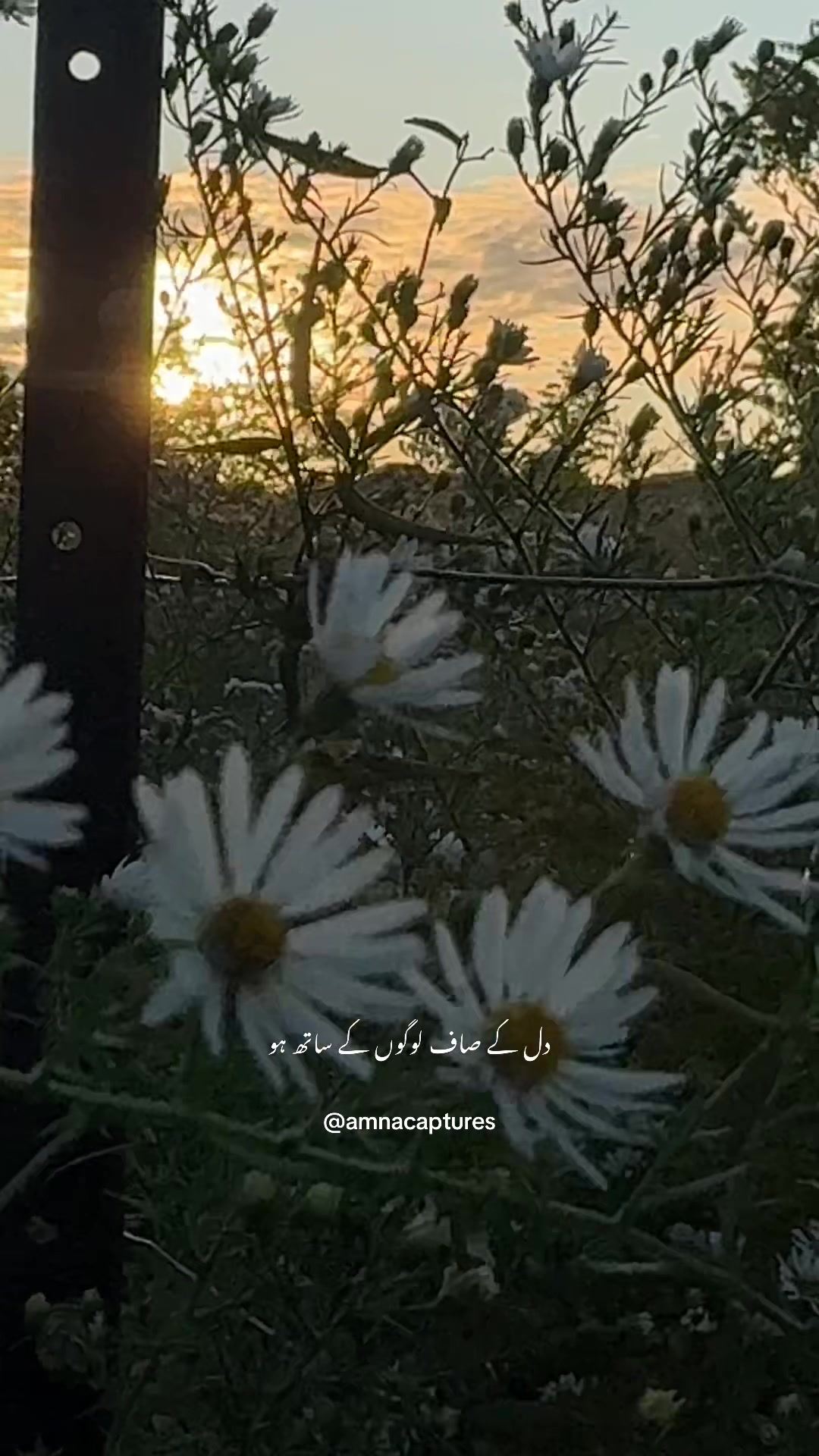 @Nature lover 🇨🇦