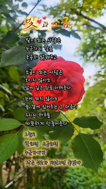 @๋น๋จ๊ณต์ฃผ๐