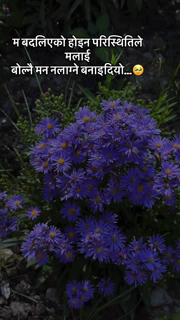 @rashmimagar04