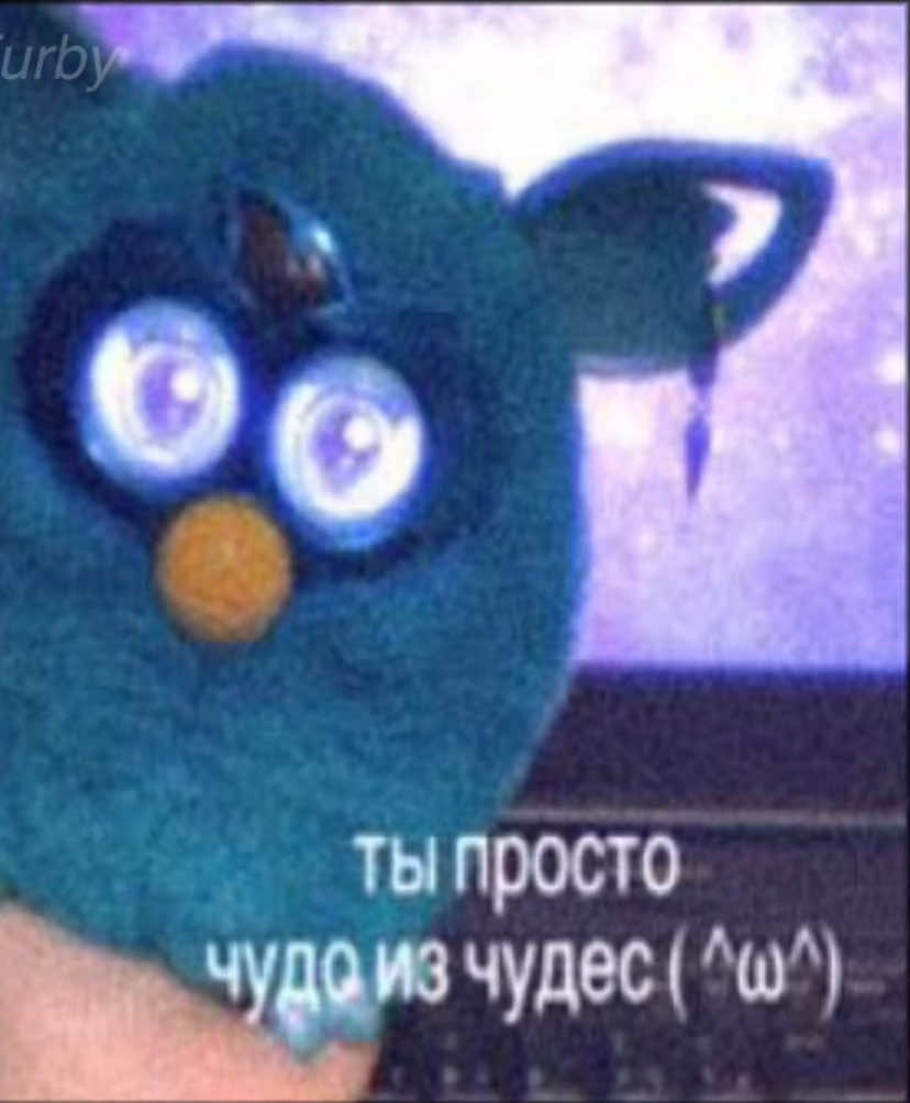 @Star Furby ✮ˎˊ˗ (๑ㅁ꩜) !!