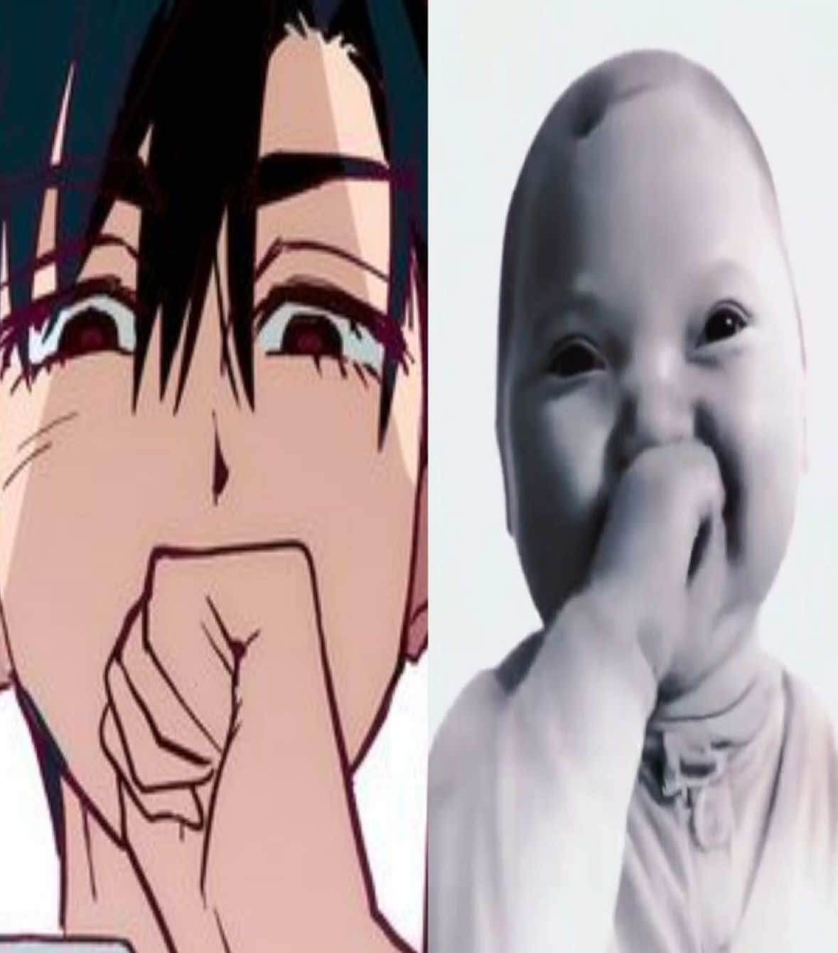 @࣪ ִֶָ☾.