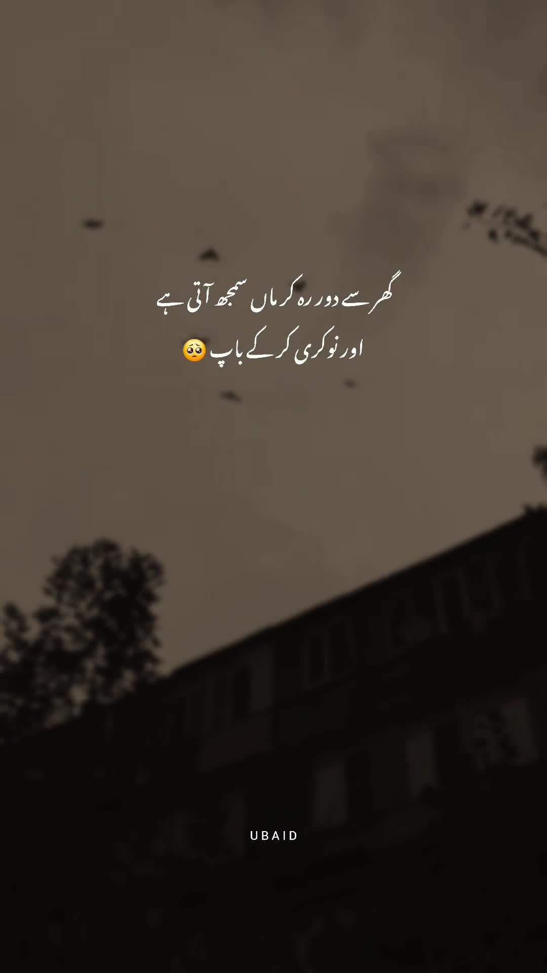 @Ubaid Abbasi ⚜️