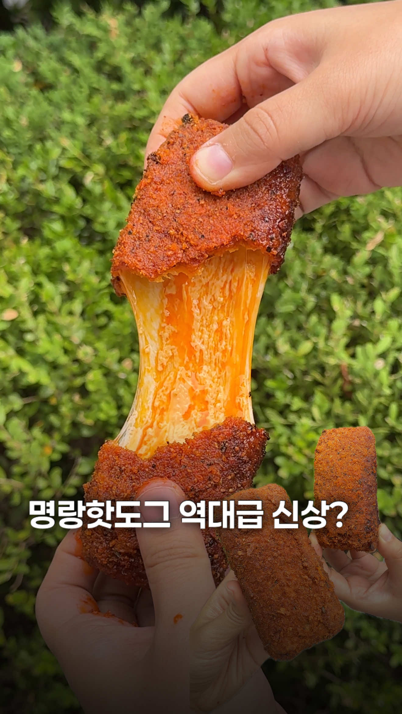 @Sikhookyung
