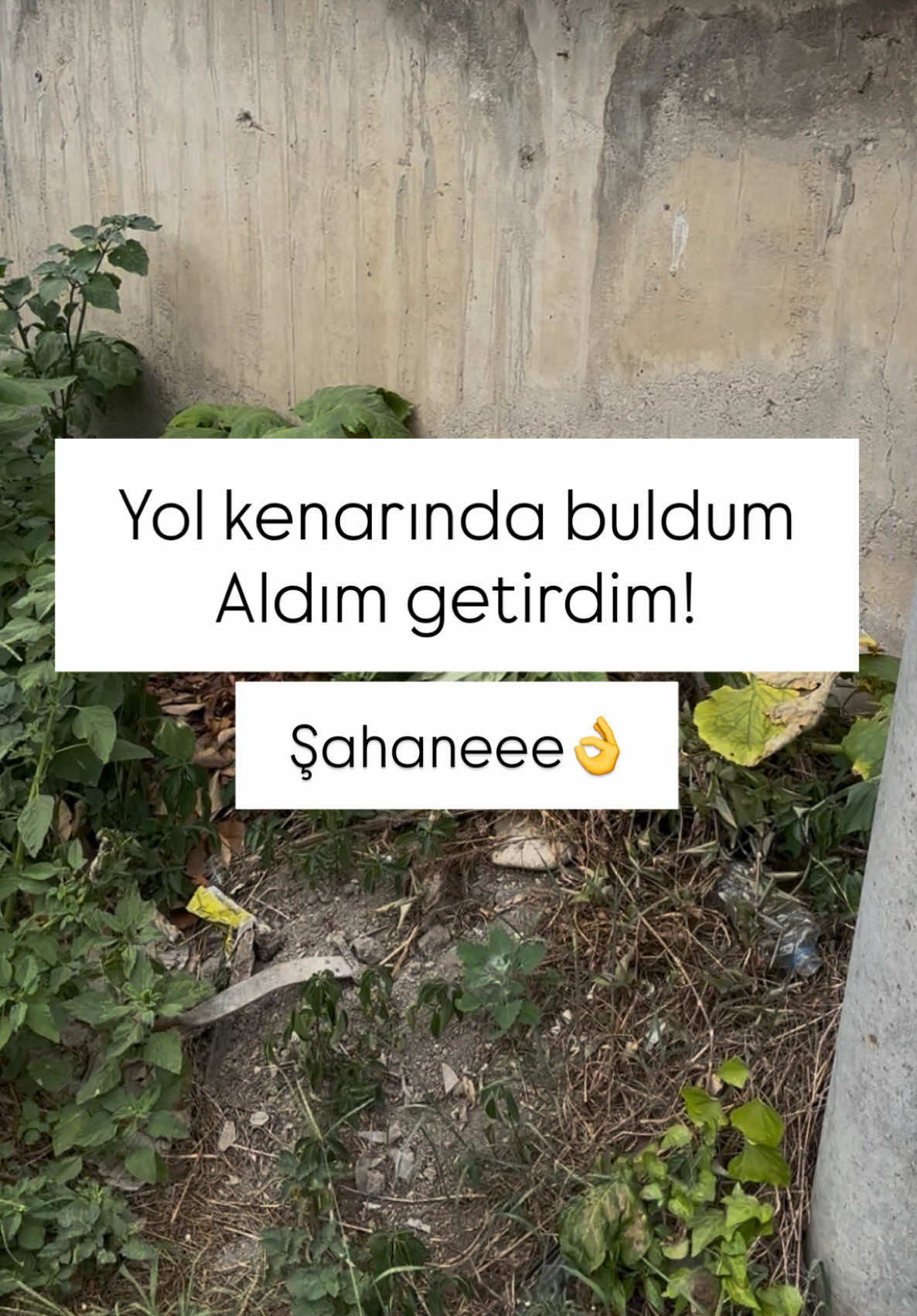 @yesillihanm