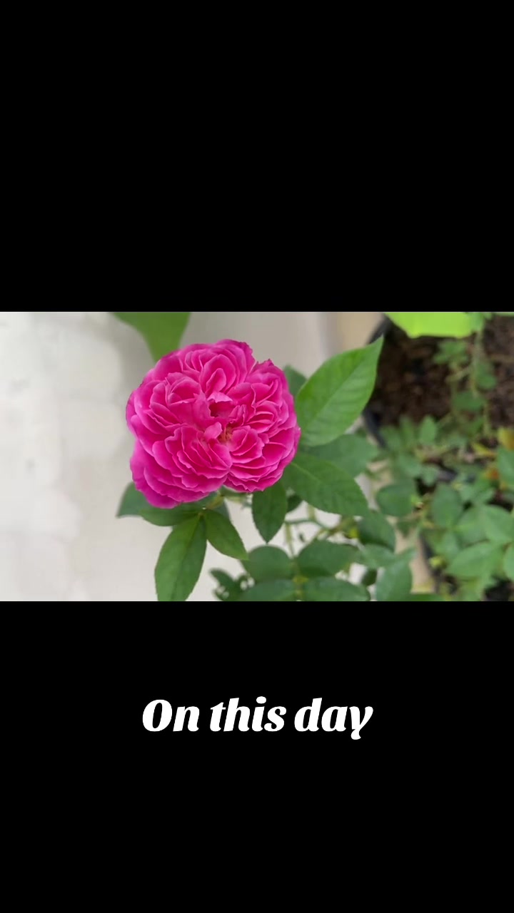 @BHONE KHANT PAING