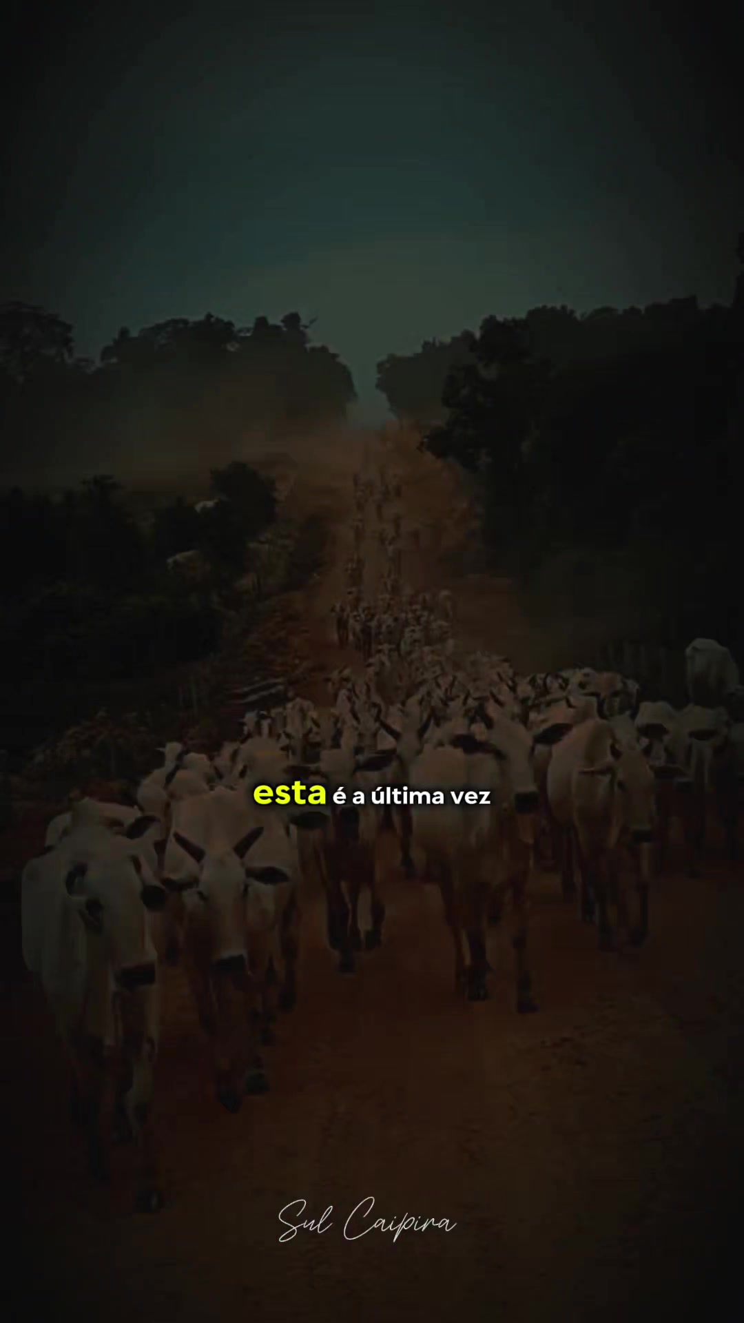@Sul Caipira