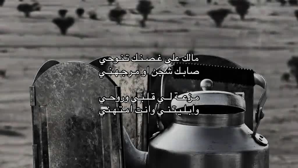 @ᥫ᭡