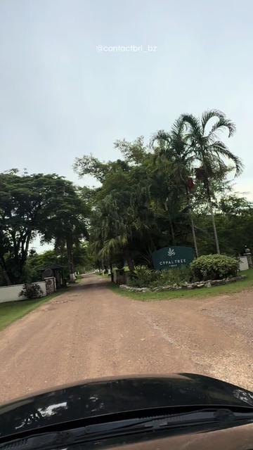 @Tour Guide of Belize🇧🇿||UGC