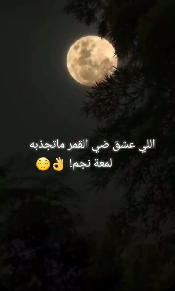 @☠ Ksa👑 ?
