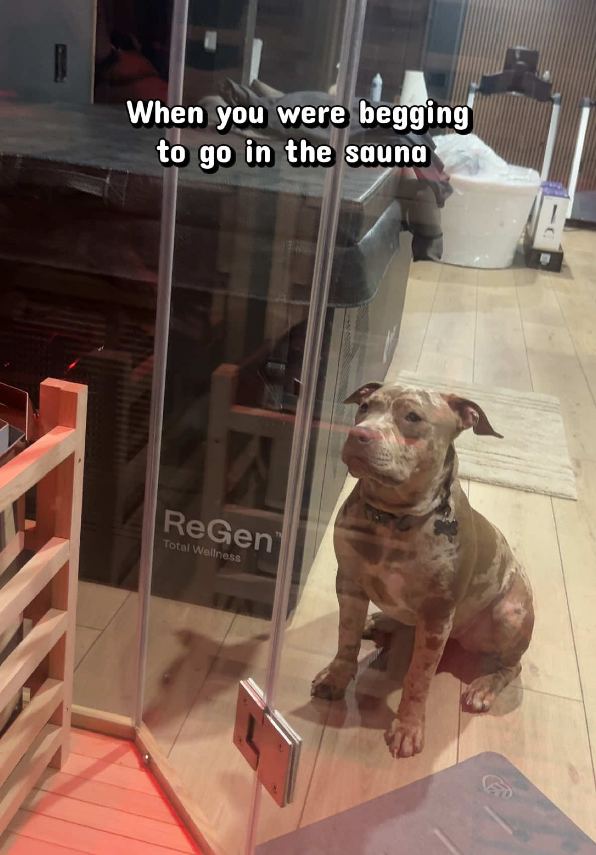 @deadlifts&doggies