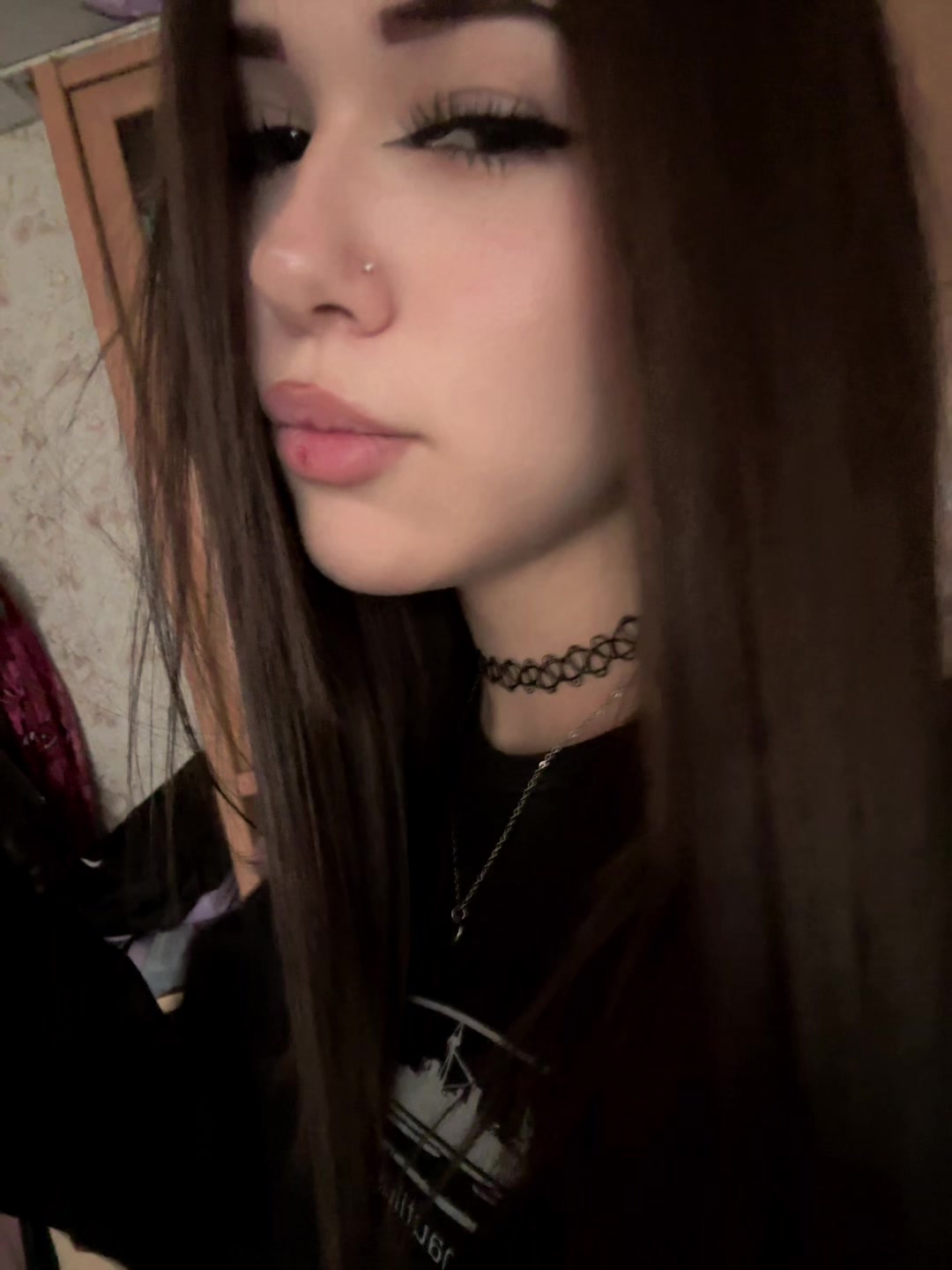 @🐾