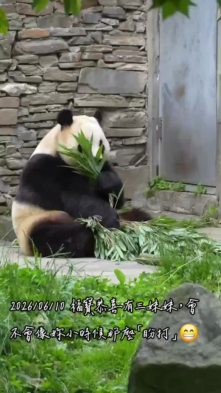 @福寶需要愛的抱抱